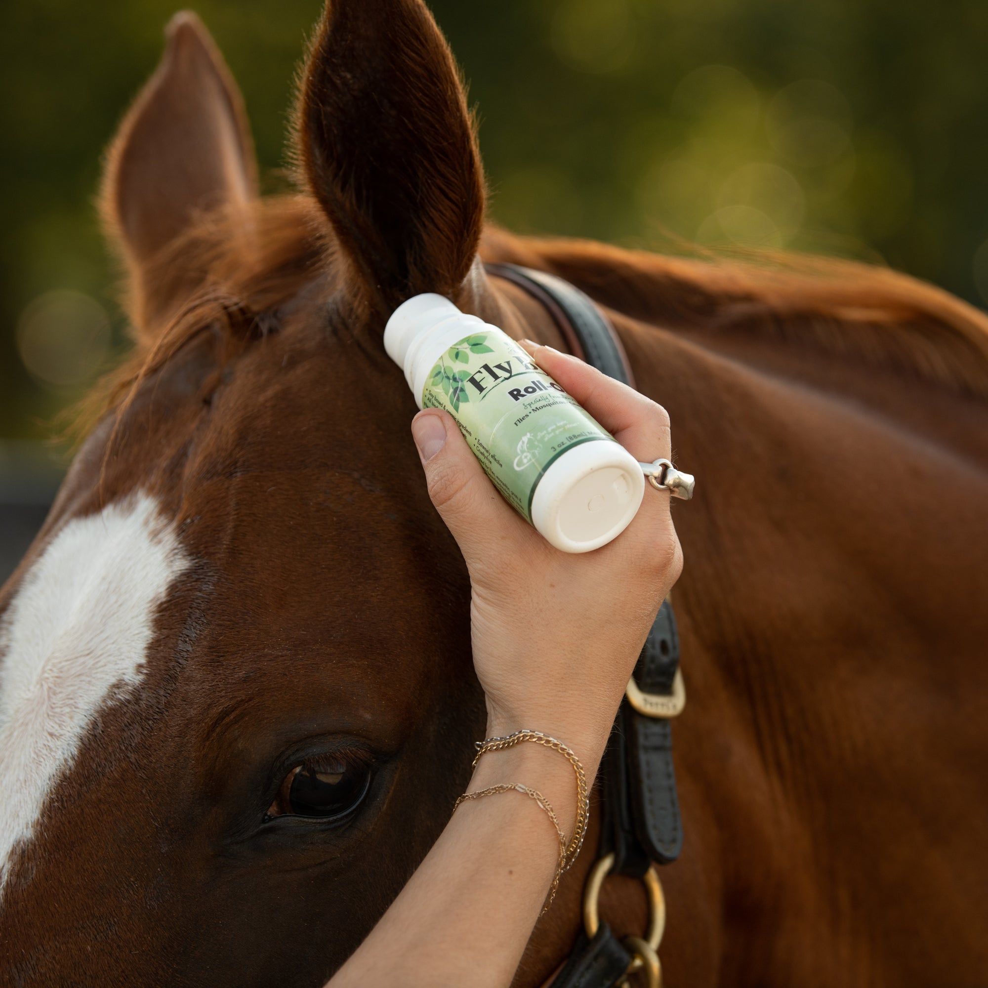 Fly protection being applied to horses ear with Fly Bye! Plus Roll On
