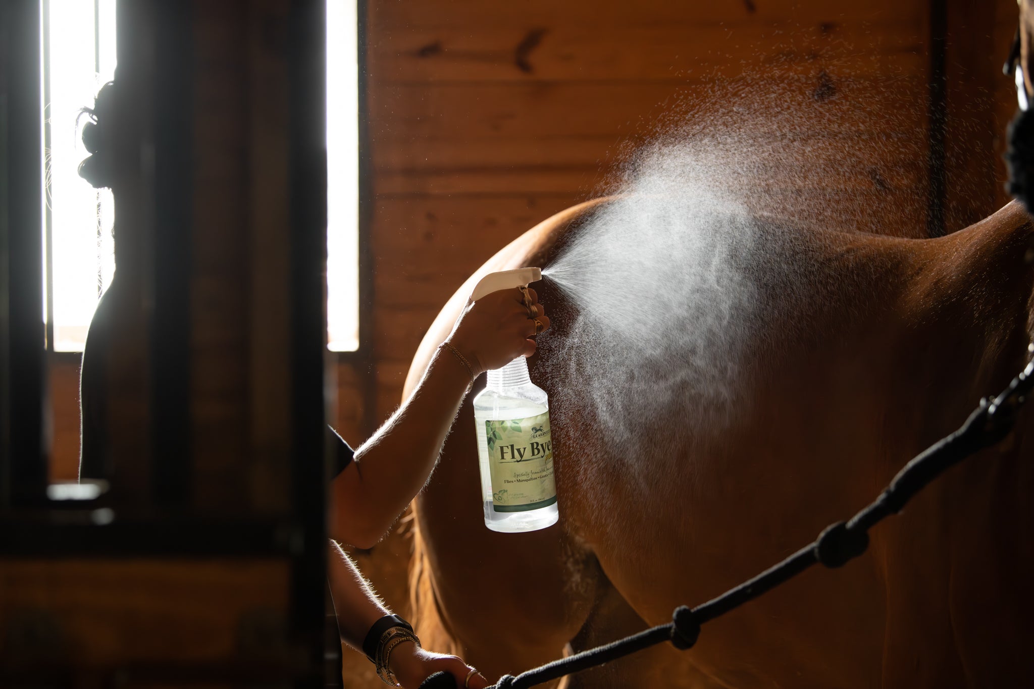 Equine Environmental Impacts – Easy Steps for Fly Control