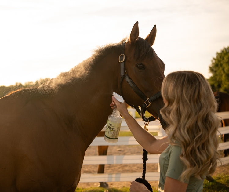 Using fly repellent on horse, Fly Bye! Plus 32 oz