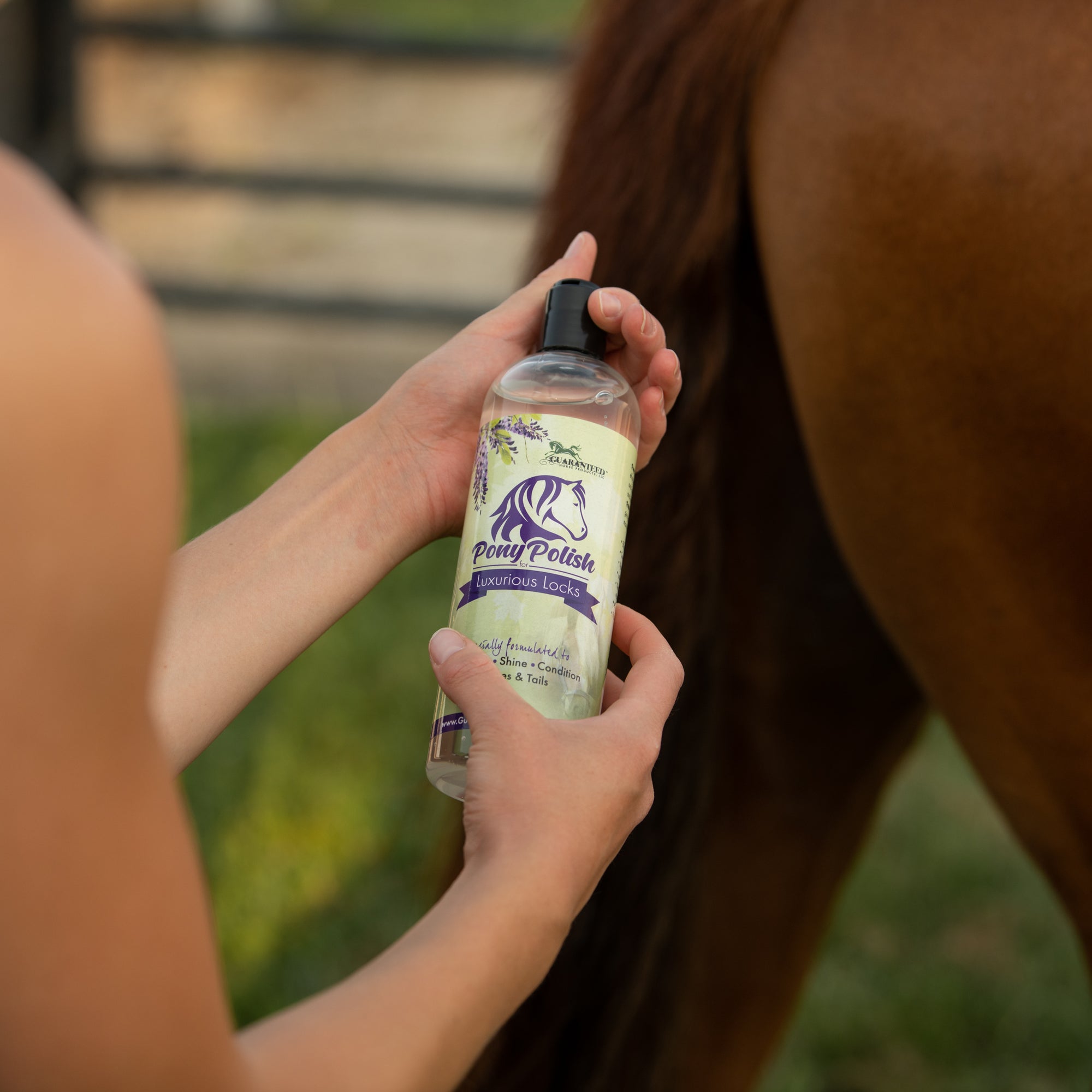For horse mane and tail detangler use Pony Polish for Luxurious Locks by Guaranteed Horse Products