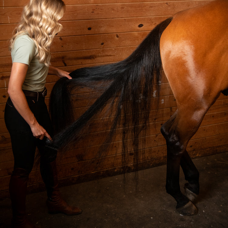 Horse tail being conditioned with Pony Polish horse conditioner