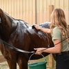 pet and horse shampoo with fly protection with Fly Bye! Plus Shampoo by Guaranteed Horse Products